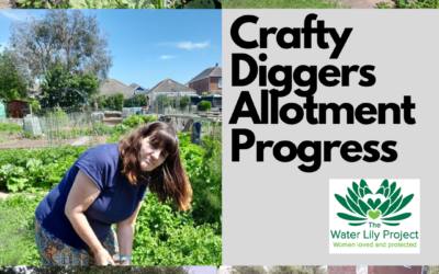 Crafty Diggers Starts to Take On The Allotment